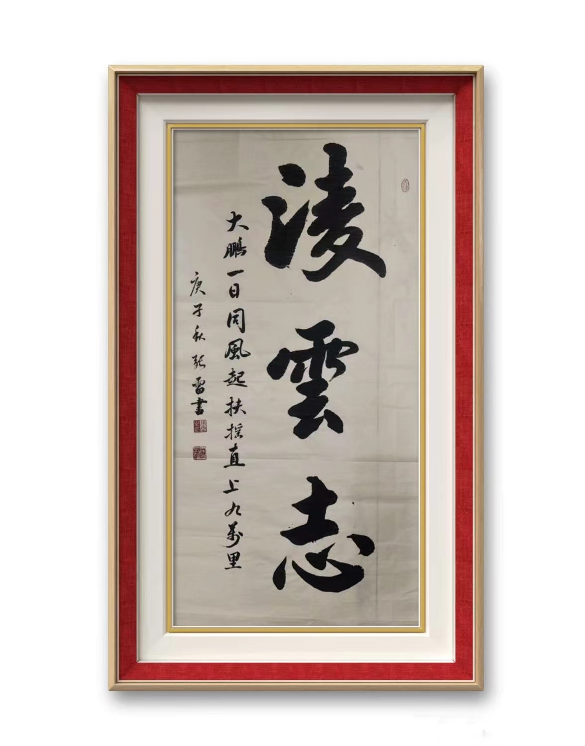 张雷(图1)